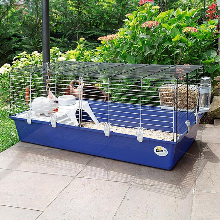 Cheap rabbit store cages for sale